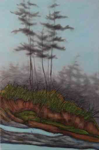 Trees on Grass and Rocks